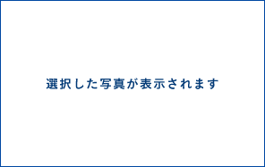 選択した写真が表示されます